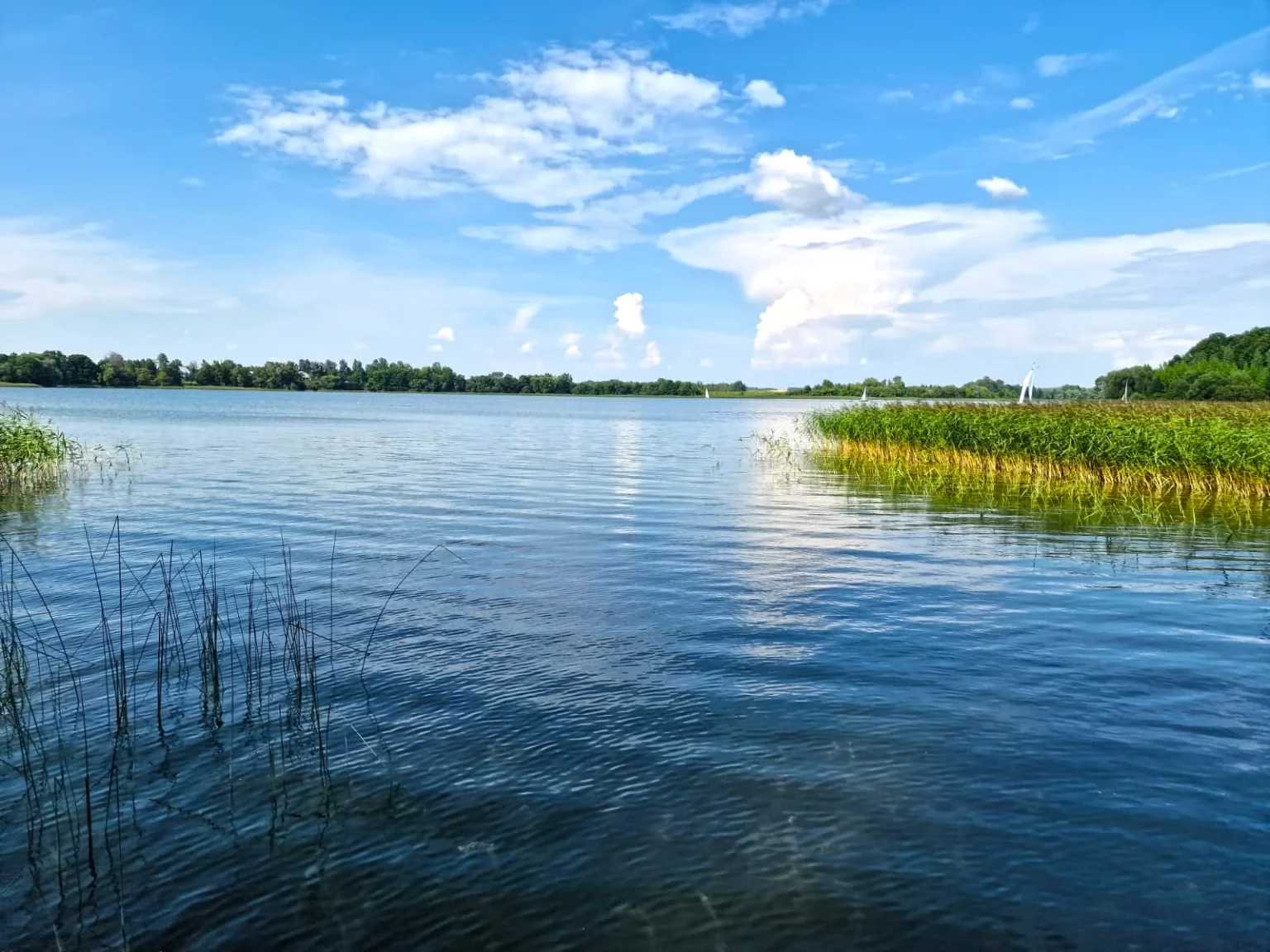 Woda, Jezioro, Jezioro Rajgrodzkie w Rajgrodzie, widok na Jezioro Rajgrodzkie, Rajgród - Apartamenty nad jeziorem KA-BOATS